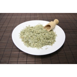 Eukaliptus Liść Krojony 1 Kg